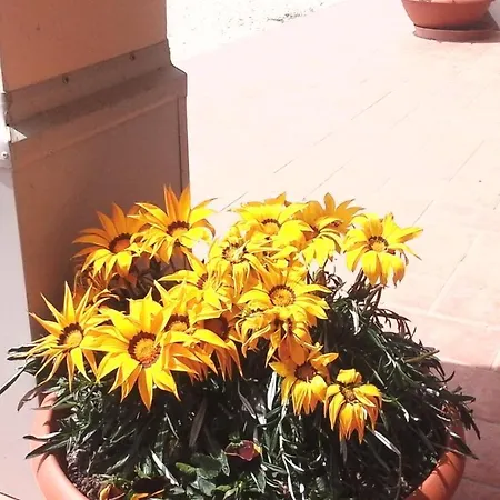 La Casa Di Cecilia * Porto Potenza Picena