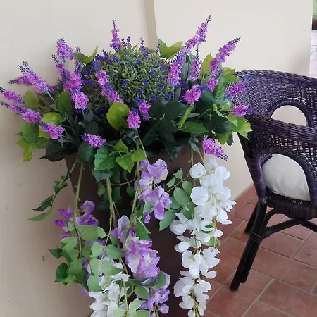 Bed & Breakfast La Casa Di Cecilia *